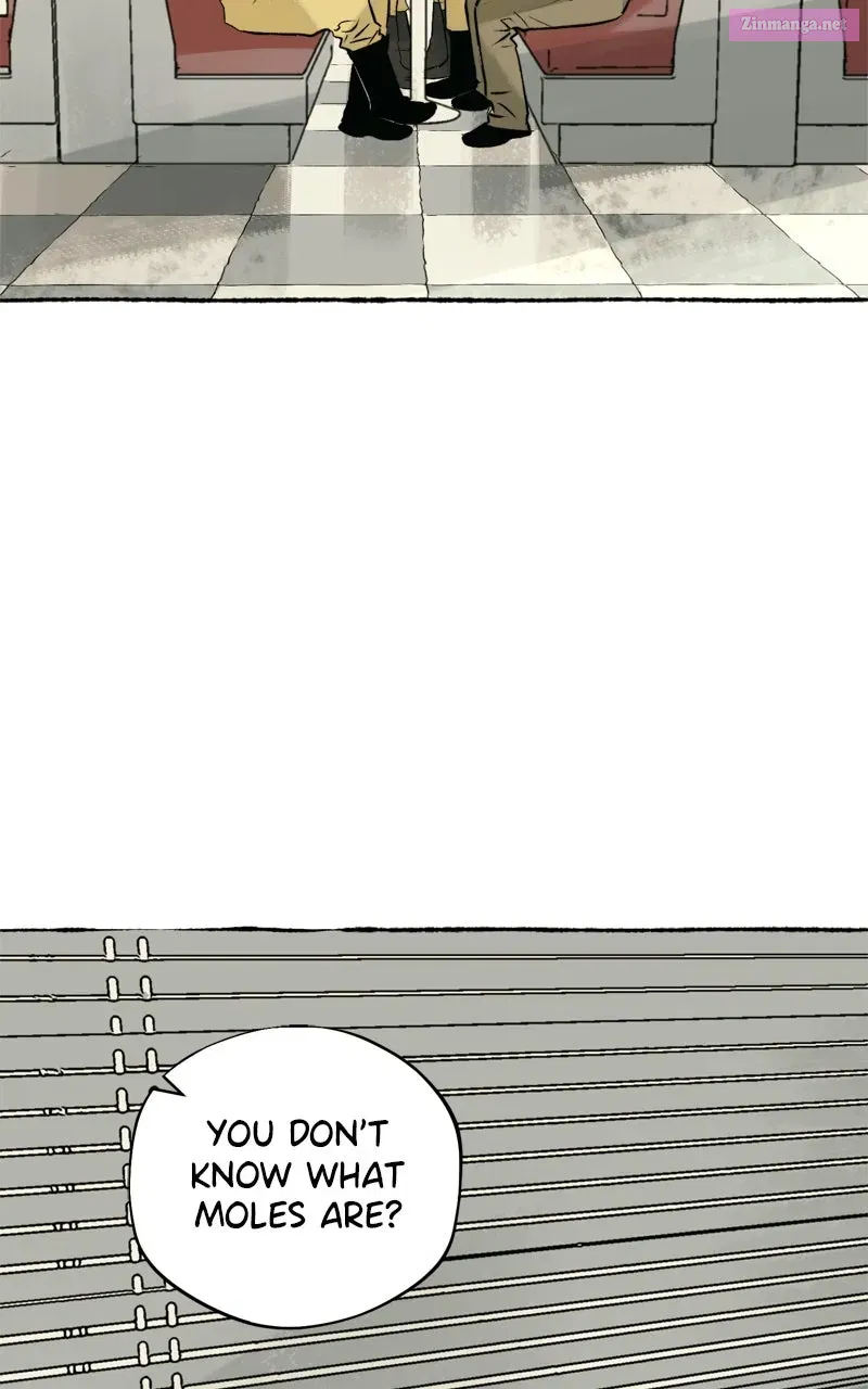 Containment Zone Management Chapter 21 page 26 - 