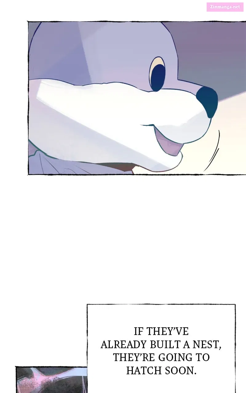 Containment Zone Management Chapter 25 page 71 - 