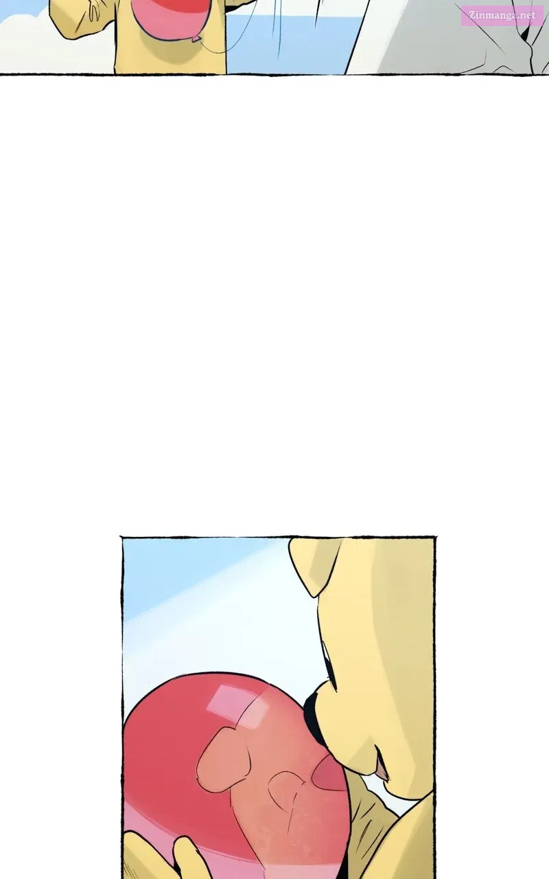 Containment Zone Management Chapter 26 page 14 - 