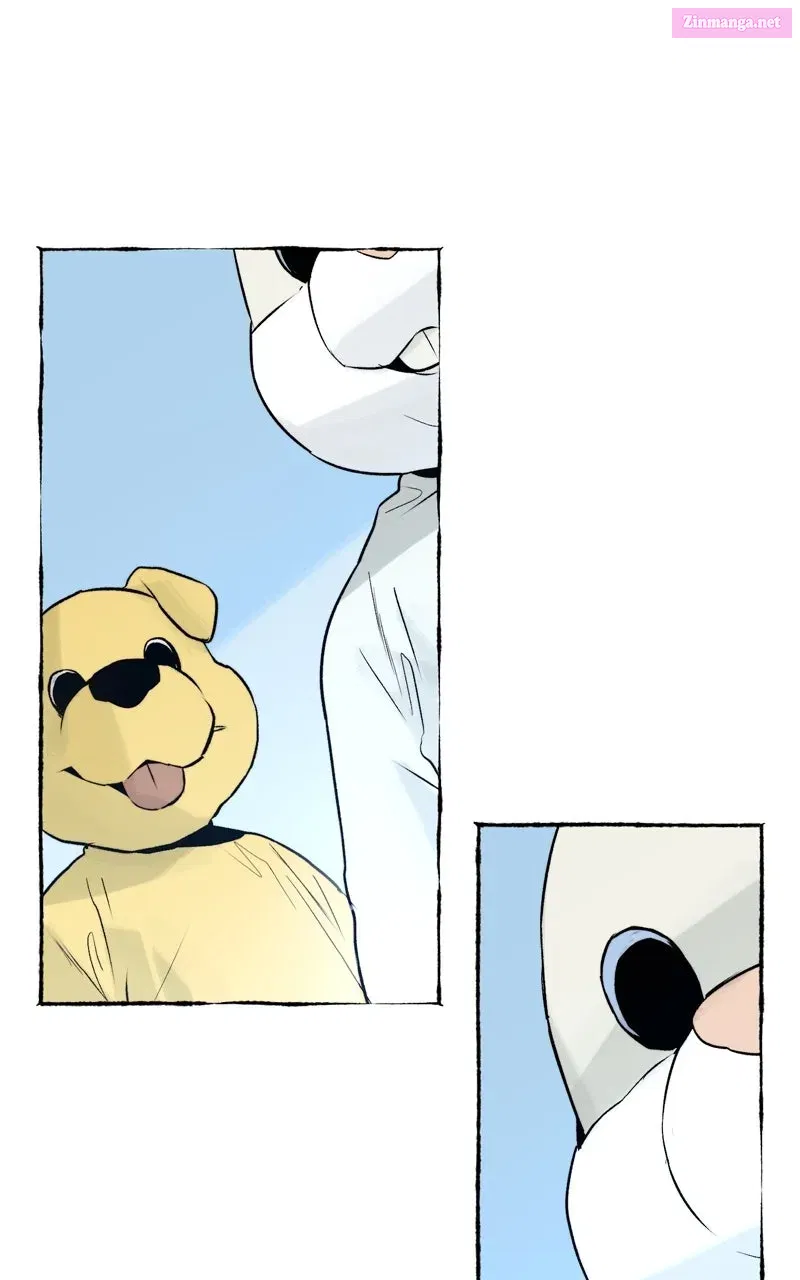 Containment Zone Management Chapter 26 page 27 - 
