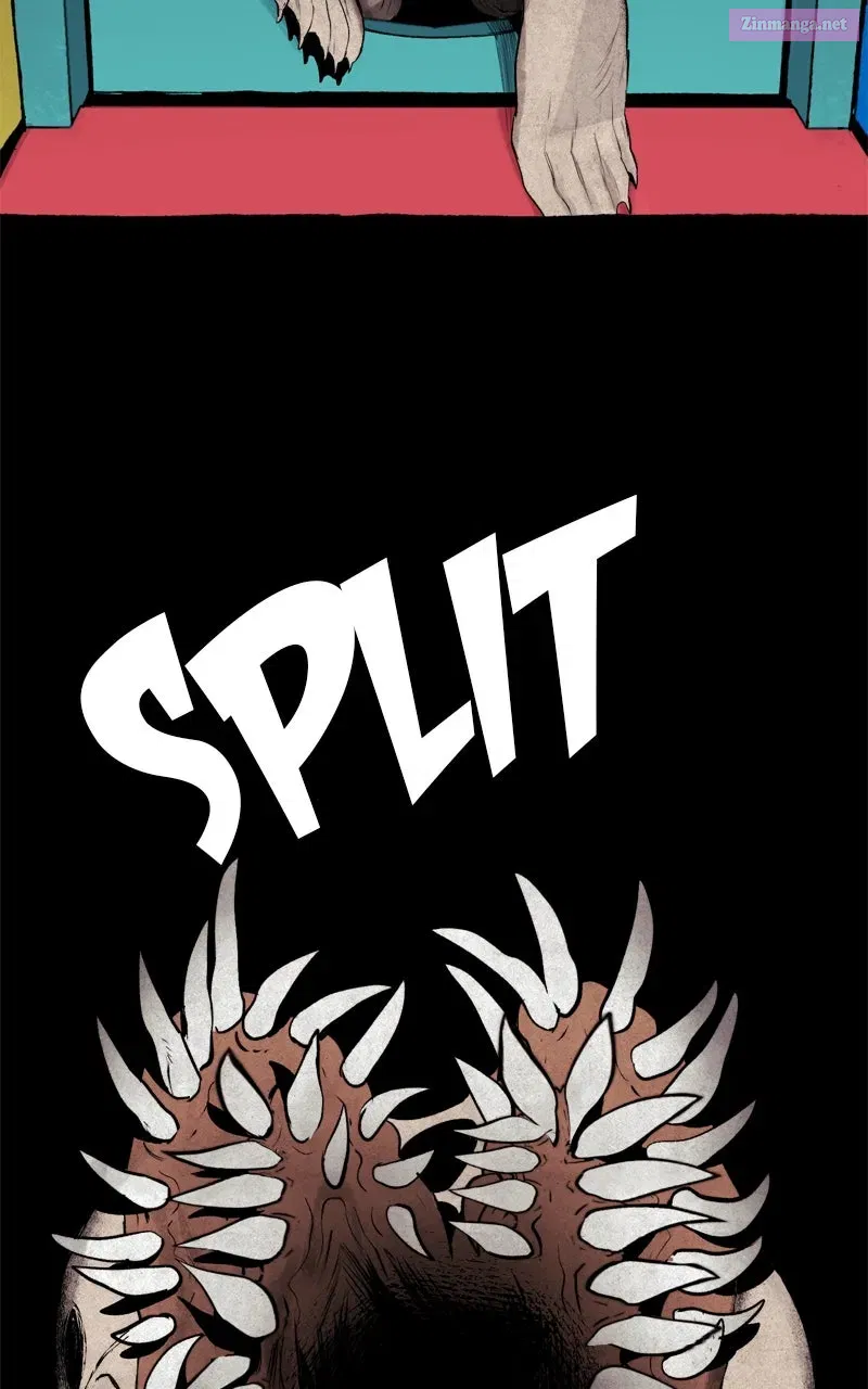 Containment Zone Management Chapter 27 page 41 - 