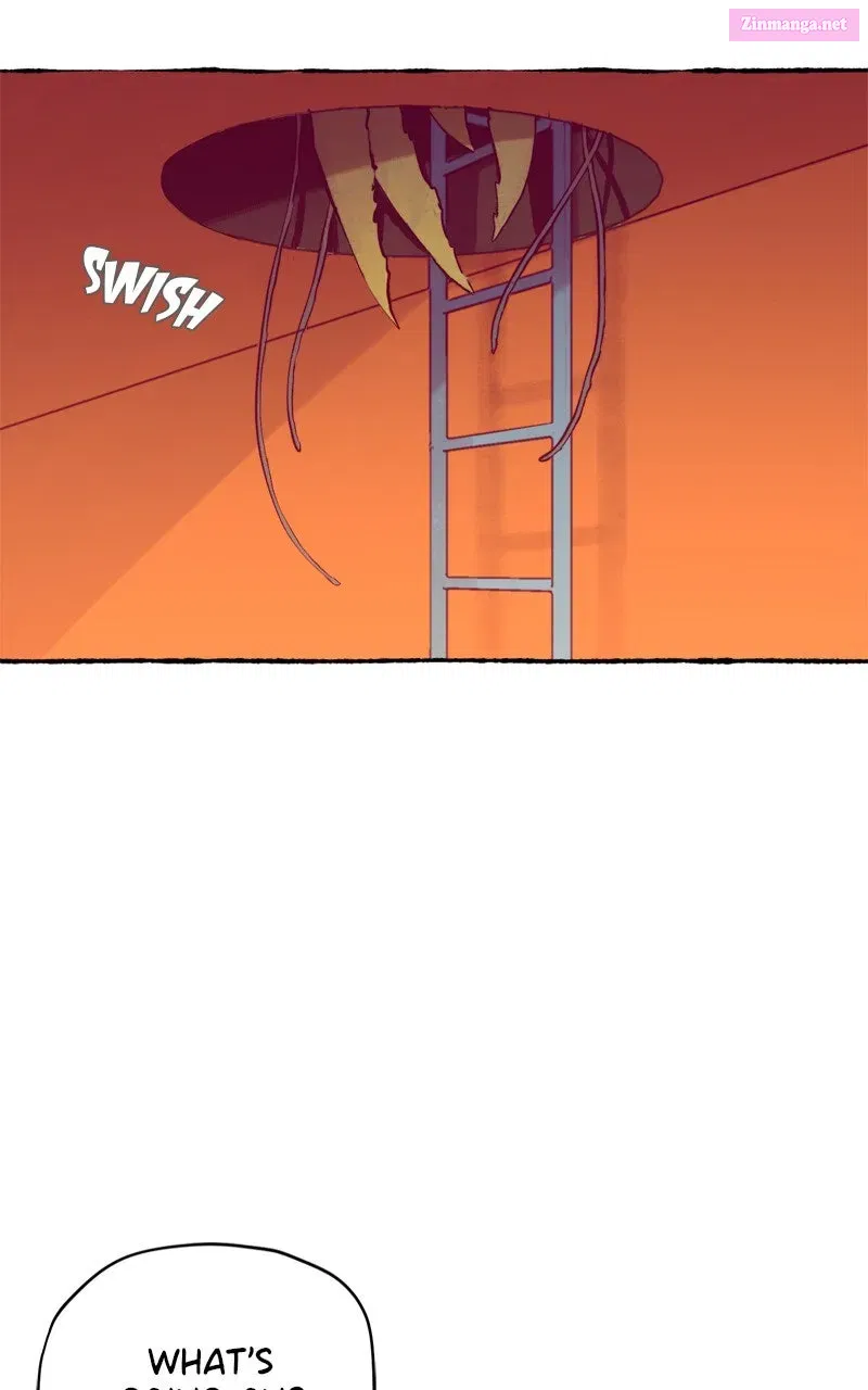 Containment Zone Management Chapter 28 page 16 - 