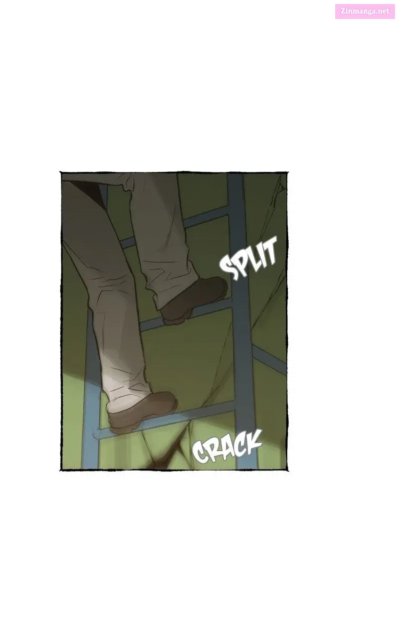 Containment Zone Management Chapter 28 page 38 - 
