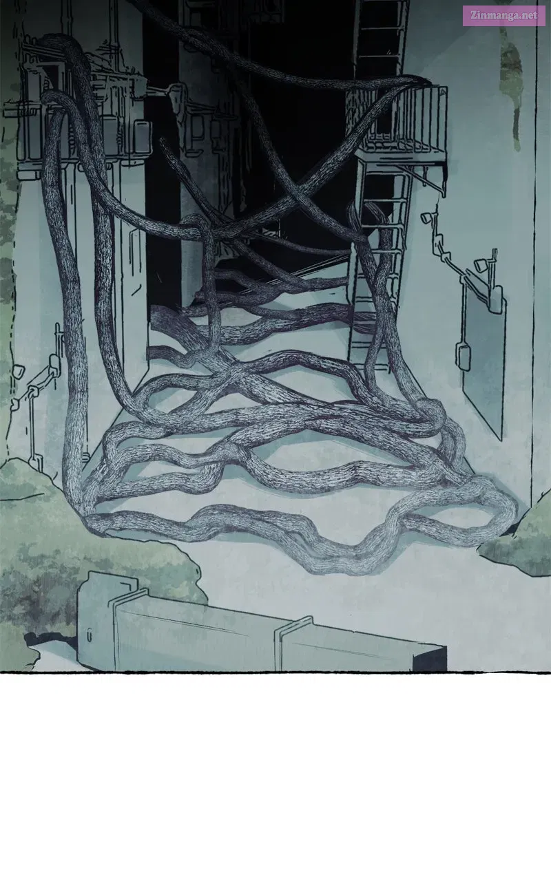 Containment Zone Management Chapter 29 page 46 - 