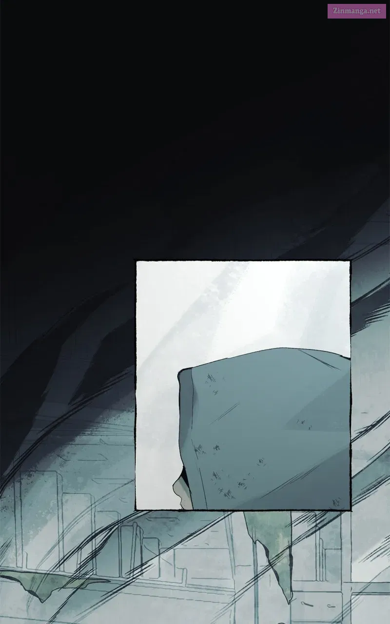 Containment Zone Management Chapter 29 page 7 - 