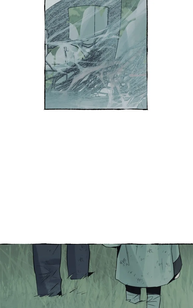Containment Zone Management Chapter 31 page 13 - 