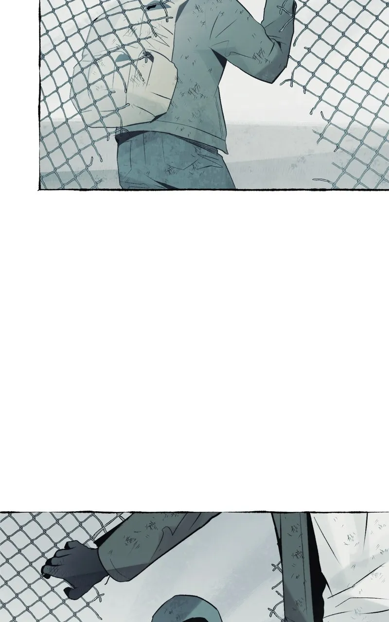Containment Zone Management Chapter 31 page 17 - 