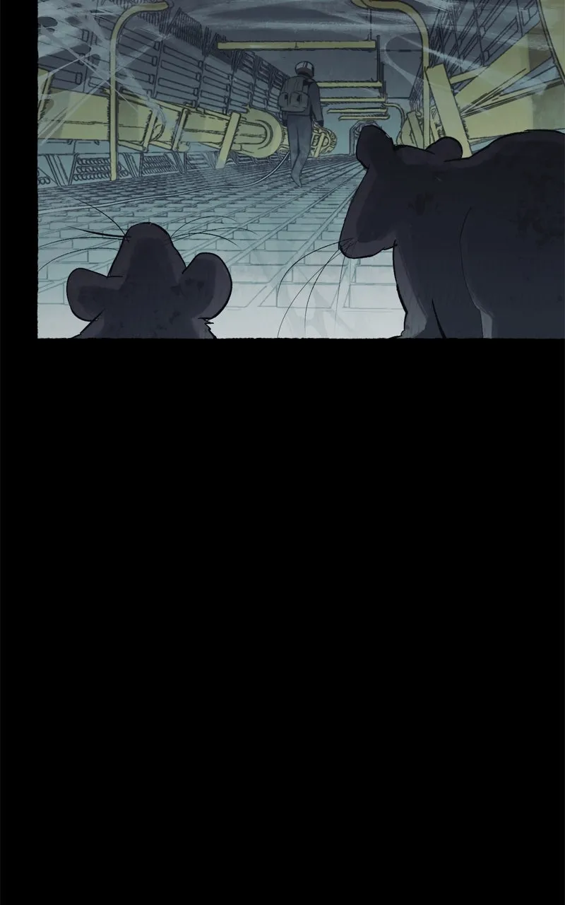 Containment Zone Management Chapter 31 page 40 - 