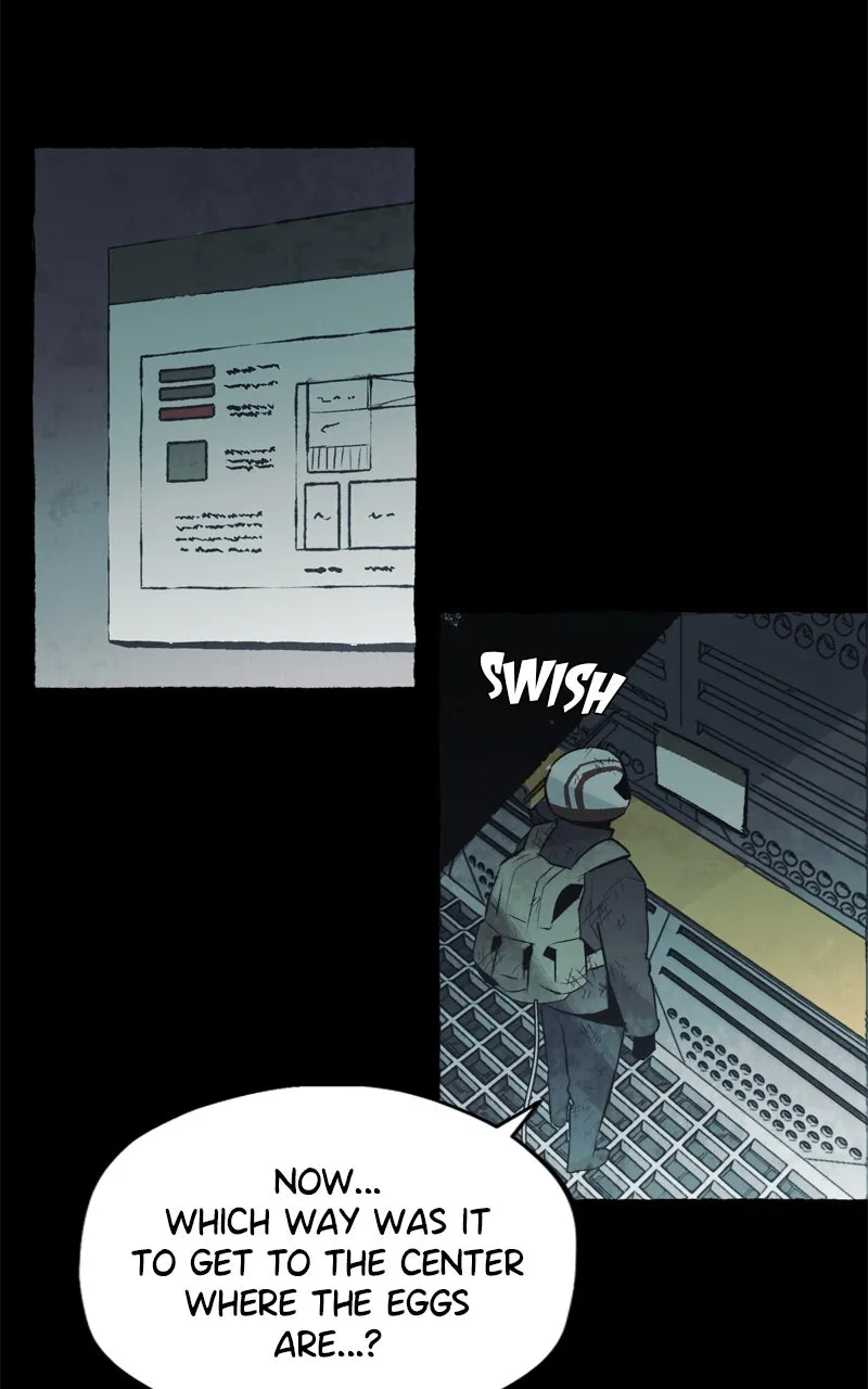 Containment Zone Management Chapter 31 page 42 - 