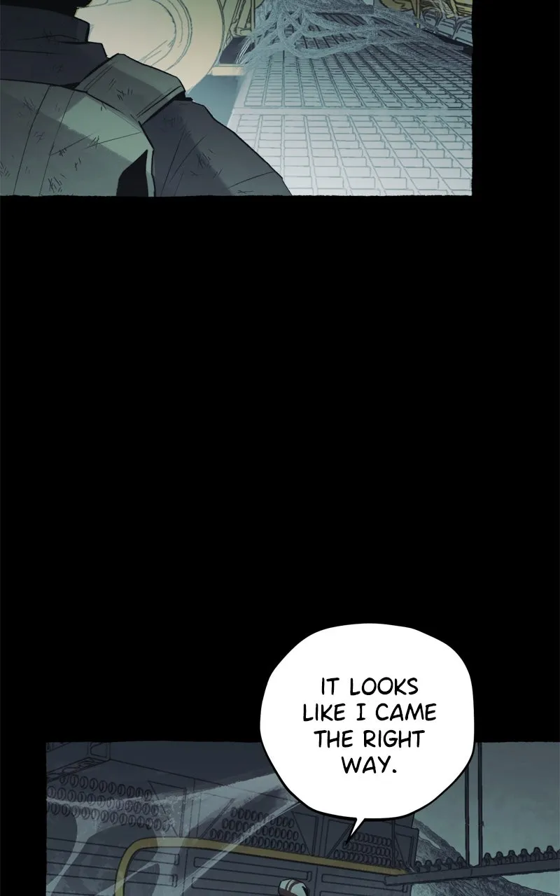 Containment Zone Management Chapter 31 page 46 - 