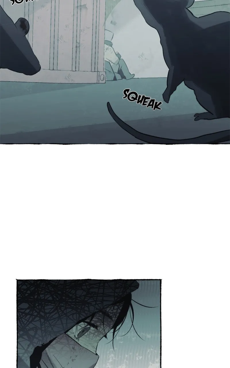 Containment Zone Management Chapter 31 page 65 - 
