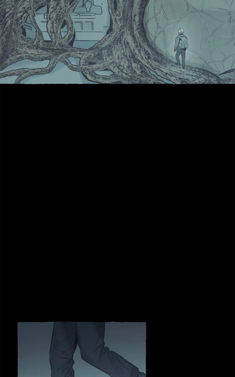 Containment Zone Management Chapter 32 page 22 - 