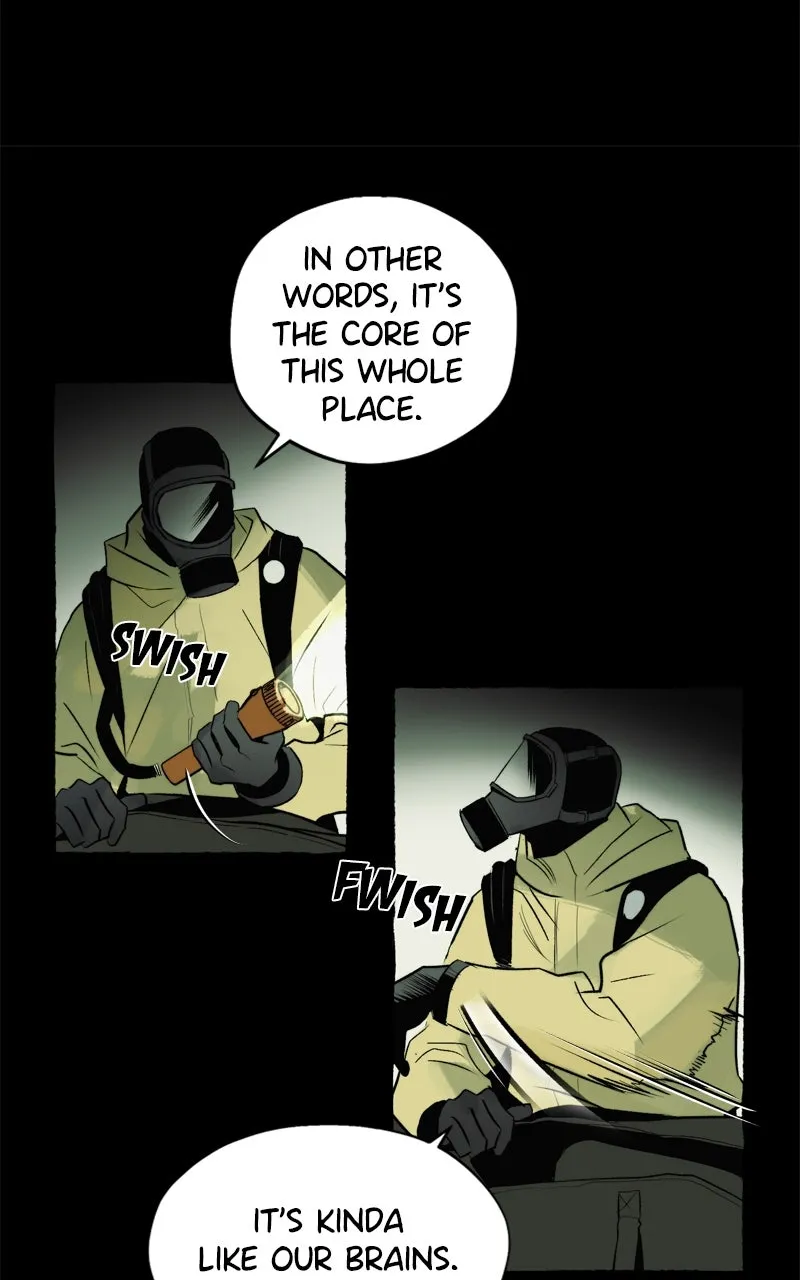 Containment Zone Management Chapter 5 page 43 - 
