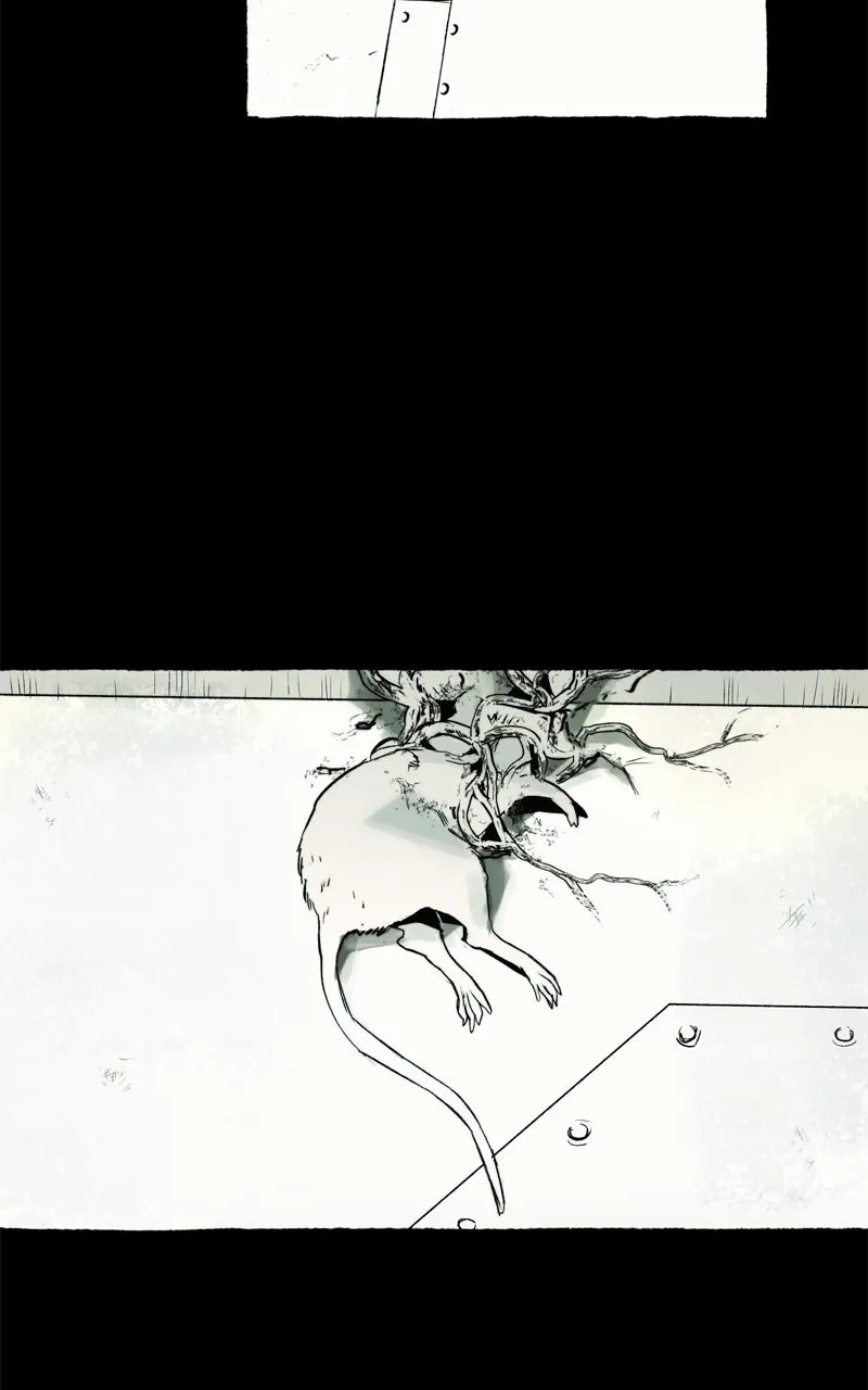 Containment Zone Management Chapter 6 page 11 - 