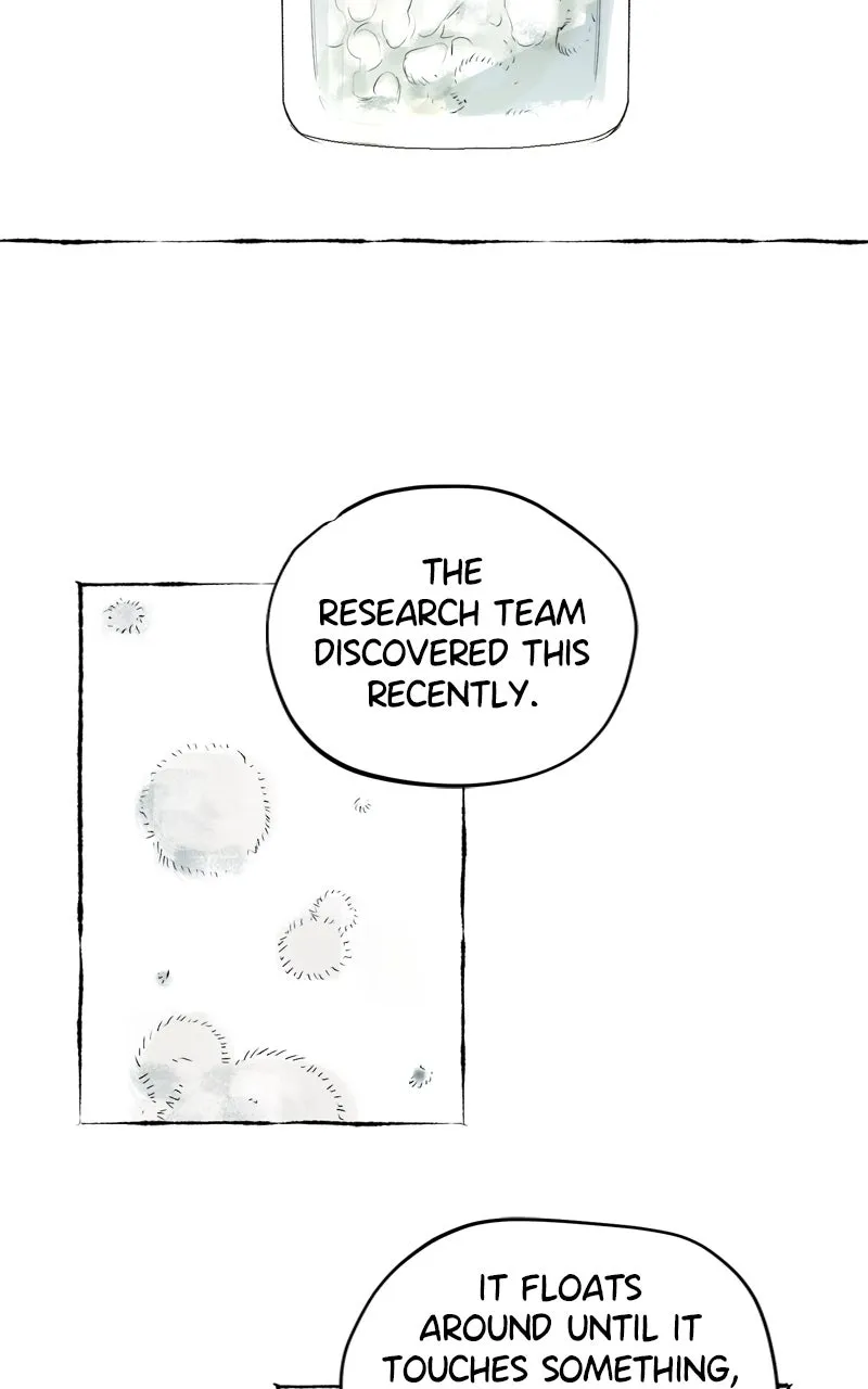 Containment Zone Management Chapter 8 page 12 - 