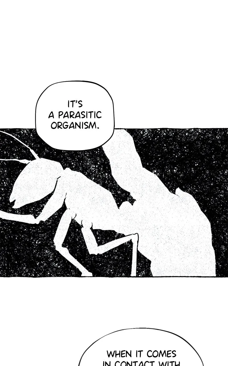 Containment Zone Management Chapter 8 page 15 - 