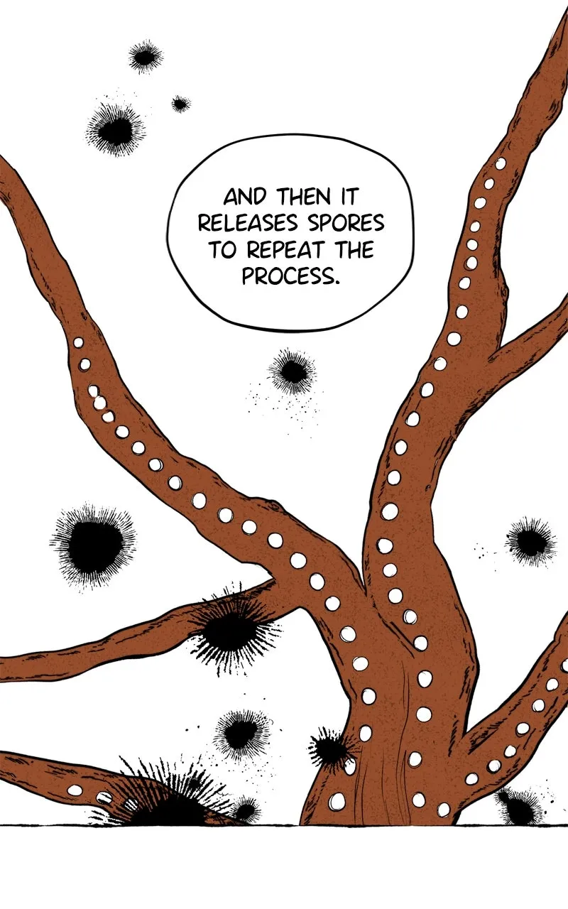 Containment Zone Management Chapter 8 page 18 - 