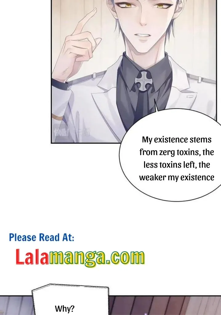 Read Continued Love chapter 35 image 33 on Lezhin