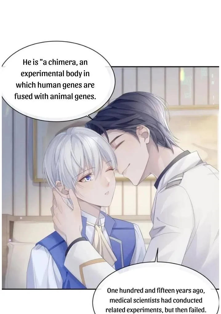 Read Continued Love chapter 36 image 5 on Lezhin