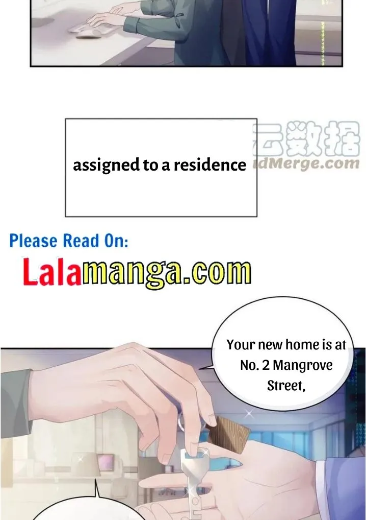 Read Continued Love chapter 42 image 15 on Lezhin