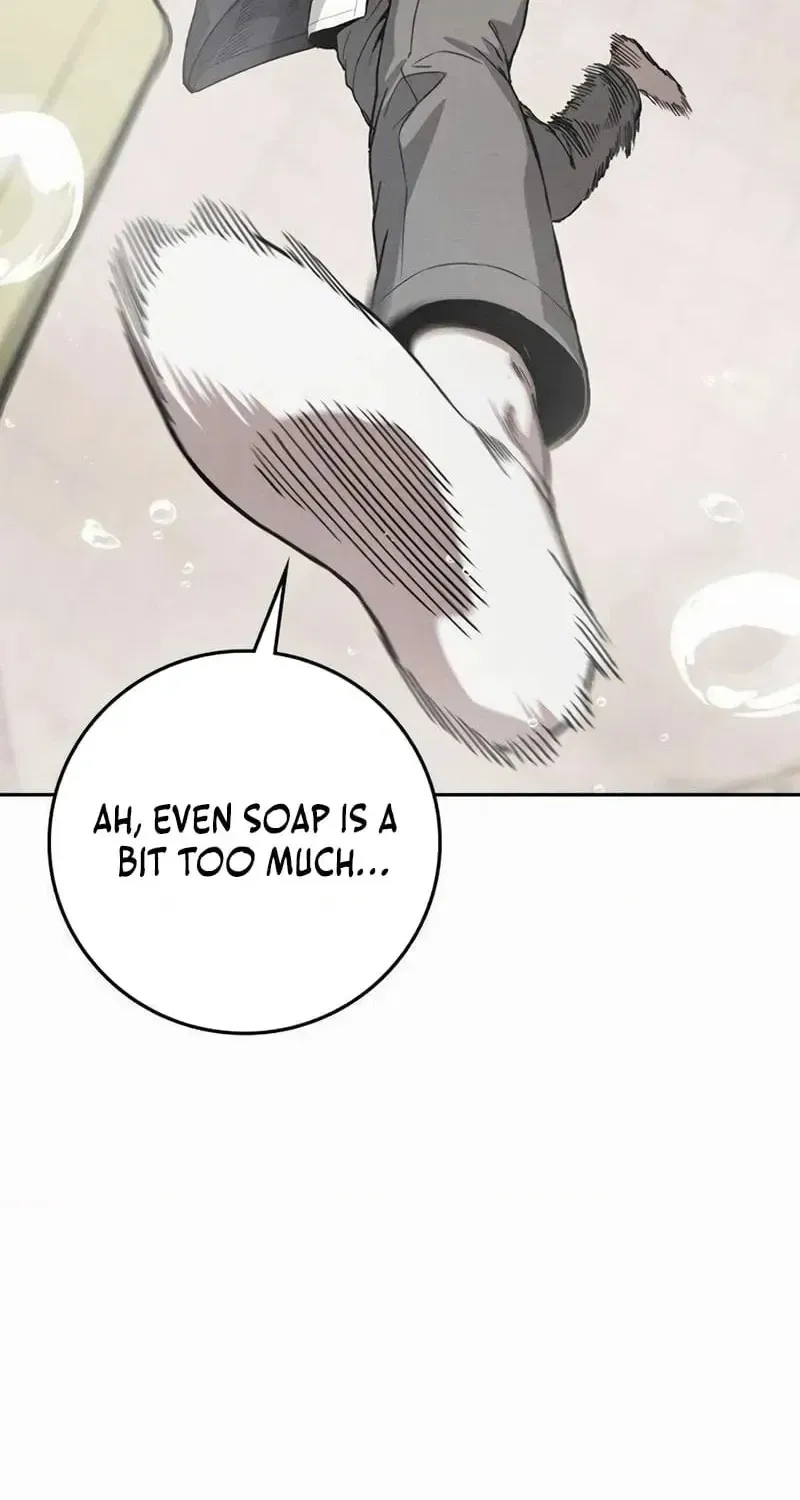 Read Contract Enrollment chapter 10 image 129 on Lezhin