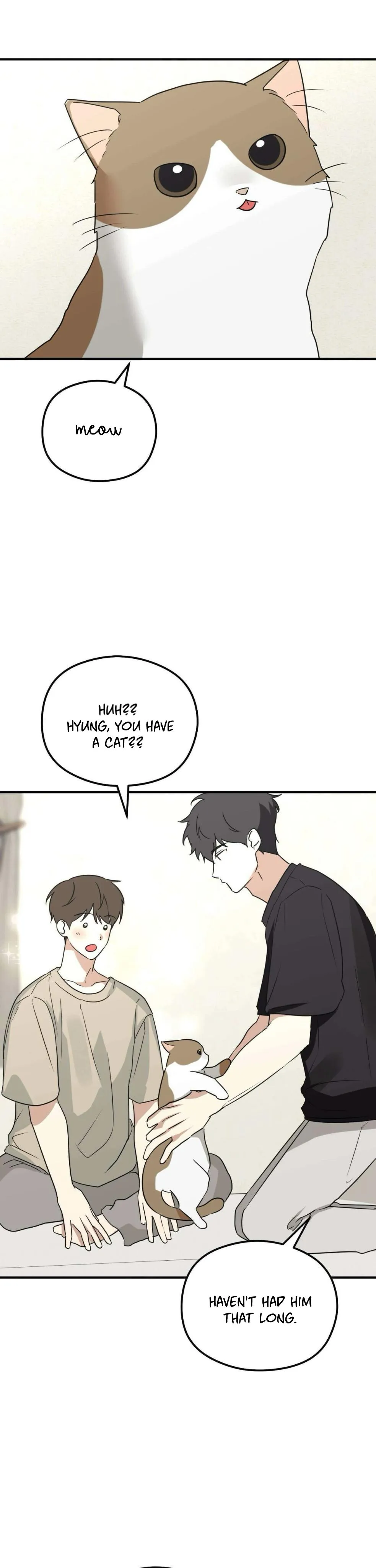 Read Conveyed Our Hearts chapter 13 image 23 on Lezhin