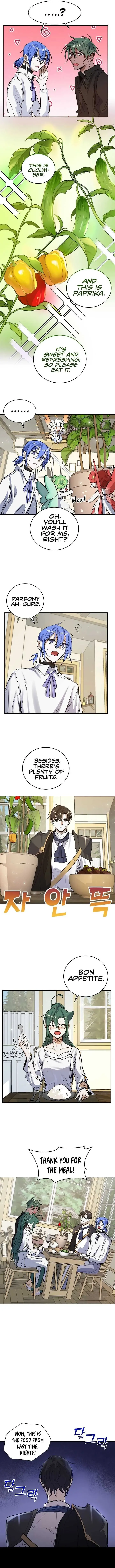 Cooking Sorcerer Chapter 11 page 5 - 