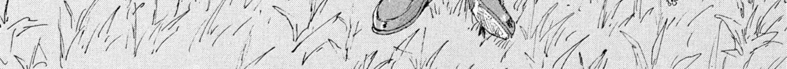 Read COPPELION chapter 183 image 1 on Lezhin
