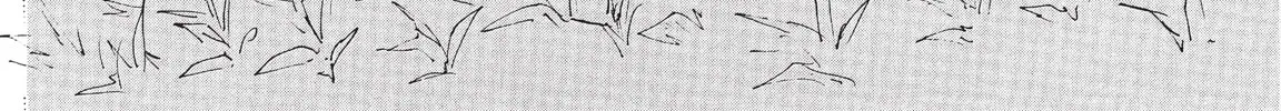 Read COPPELION chapter 200 image 1 on Lezhin