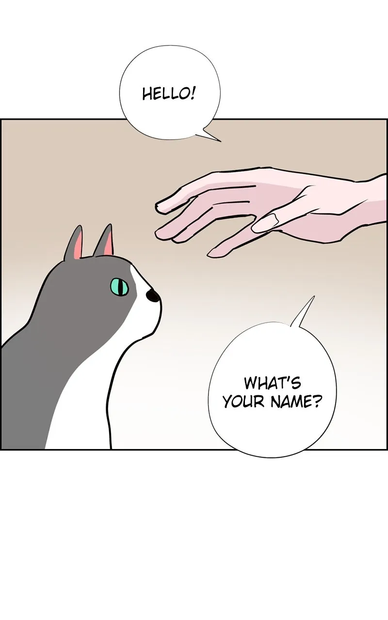 Read Copy-Paste Romance chapter 22 image 85 on Lezhin