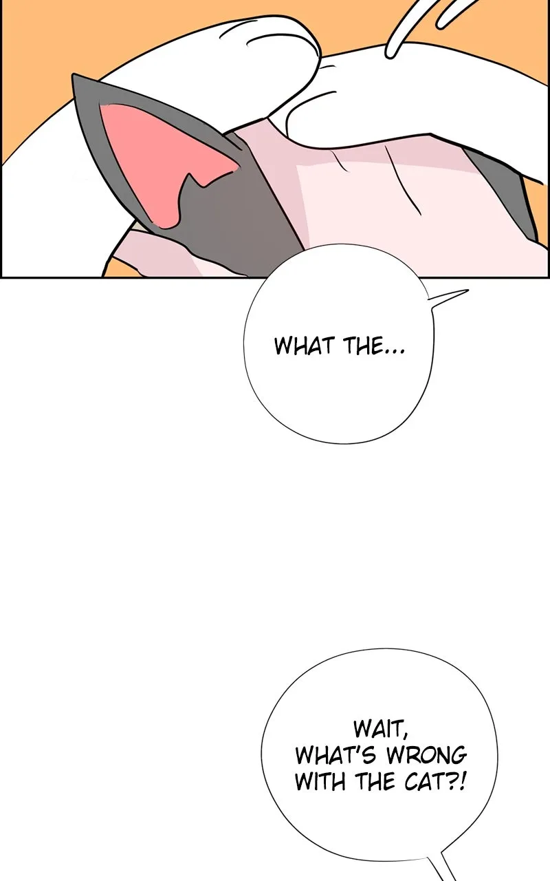 Read Copy-Paste Romance chapter 22 image 88 on Lezhin