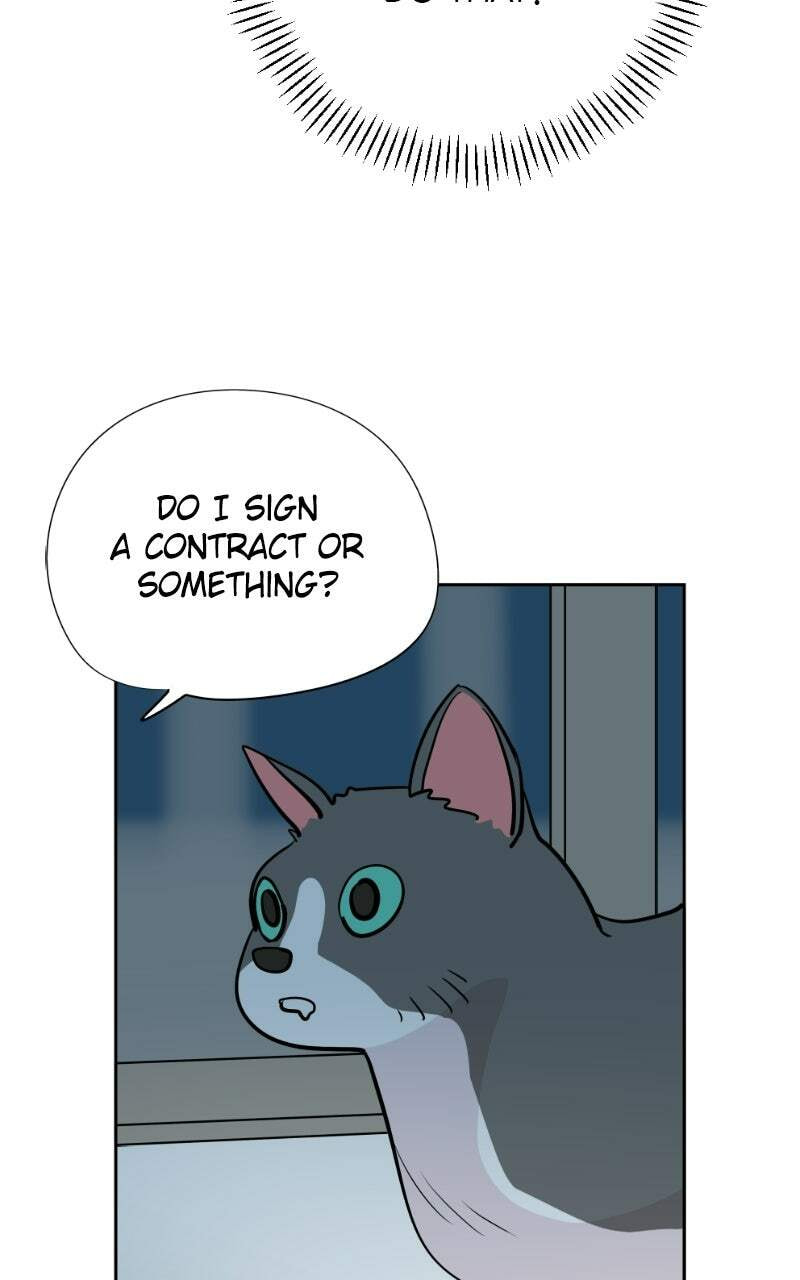 Read Copy-Paste Romance chapter 50 image 16 on Lezhin