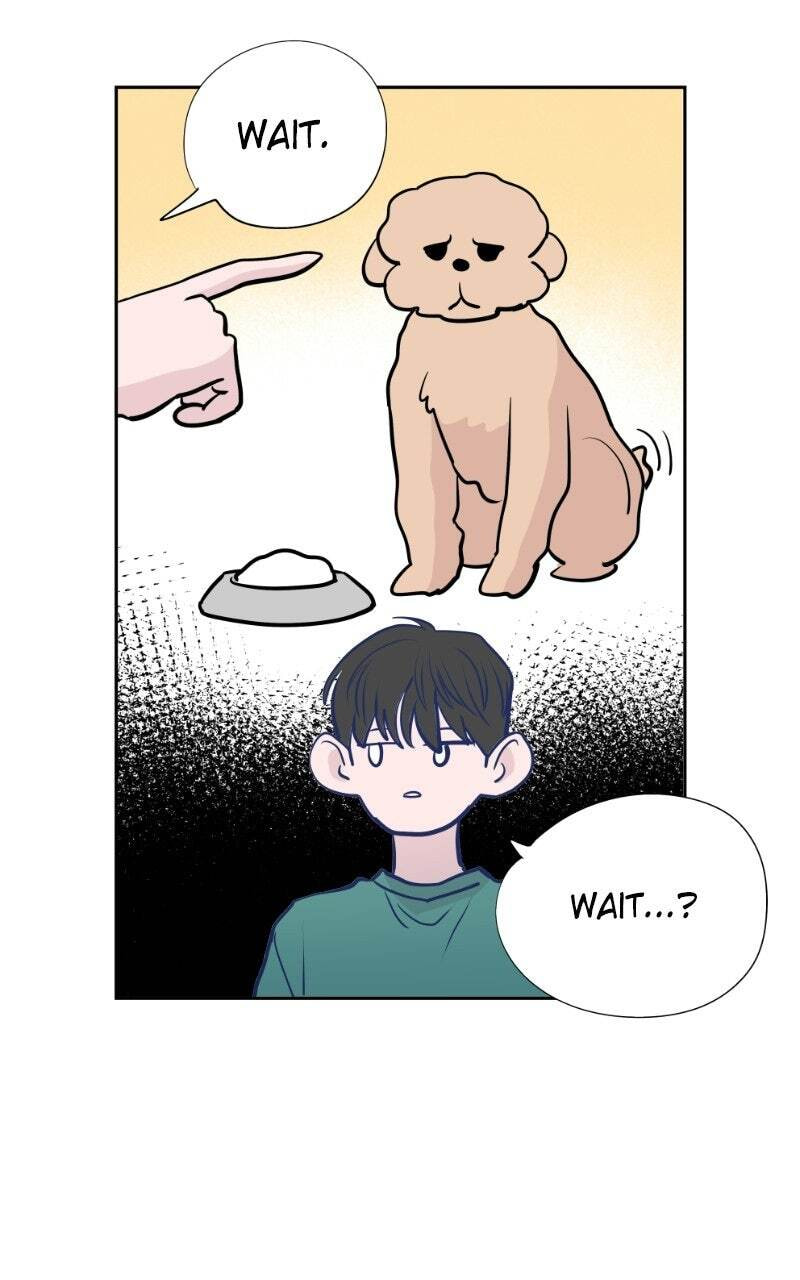 Read Copy-Paste Romance chapter 51 image 27 on Lezhin