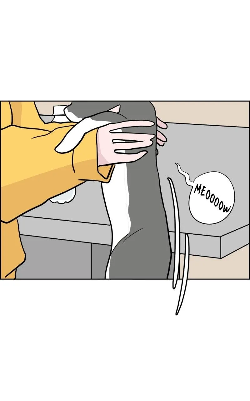 Read Copy-Paste Romance chapter 62 image 6 on Lezhin