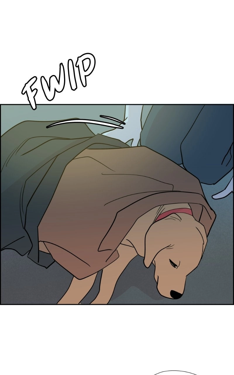 Read Copy-Paste Romance chapter 64 image 56 on Lezhin