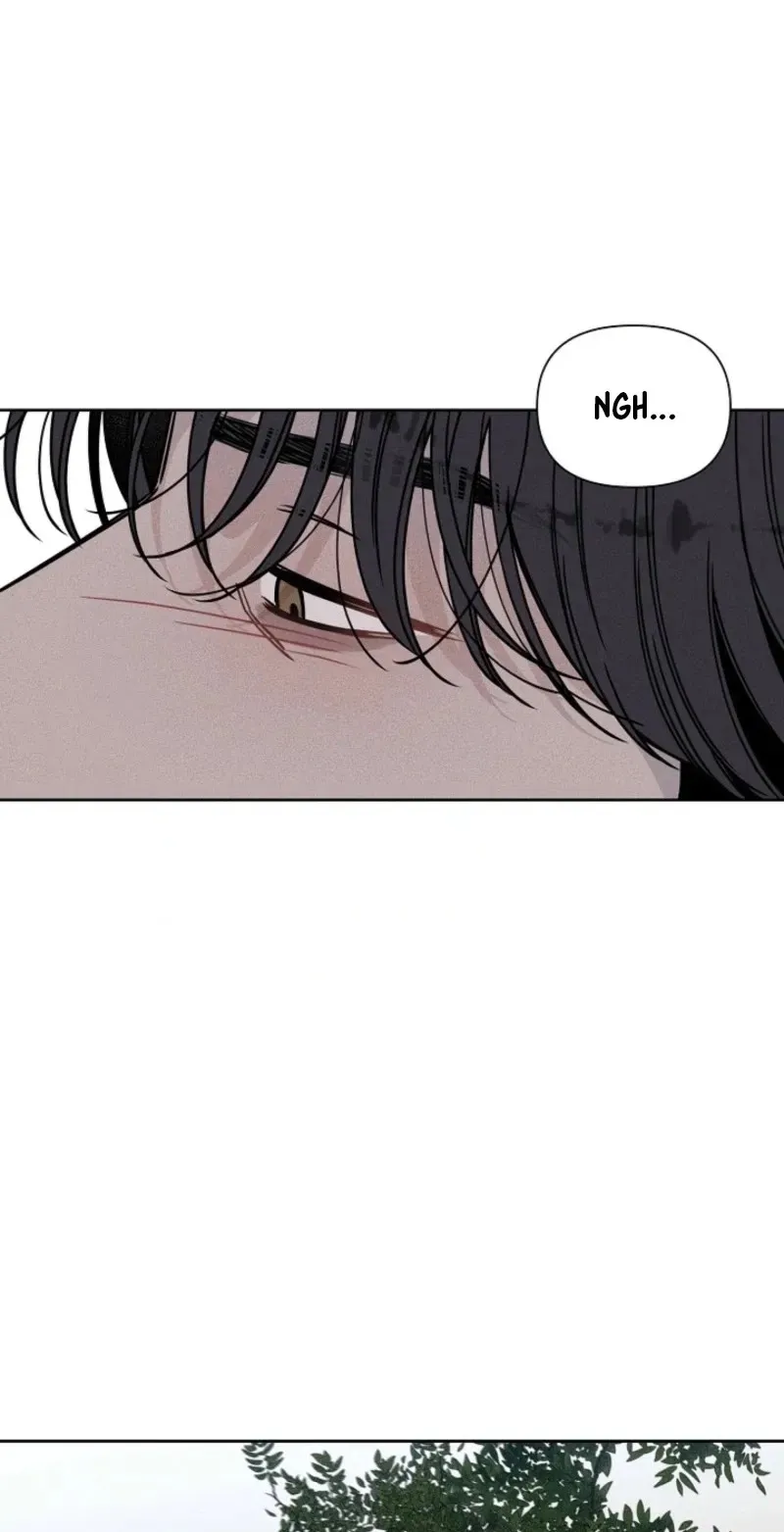 Coral Crown Chapter 8 page 40 - 