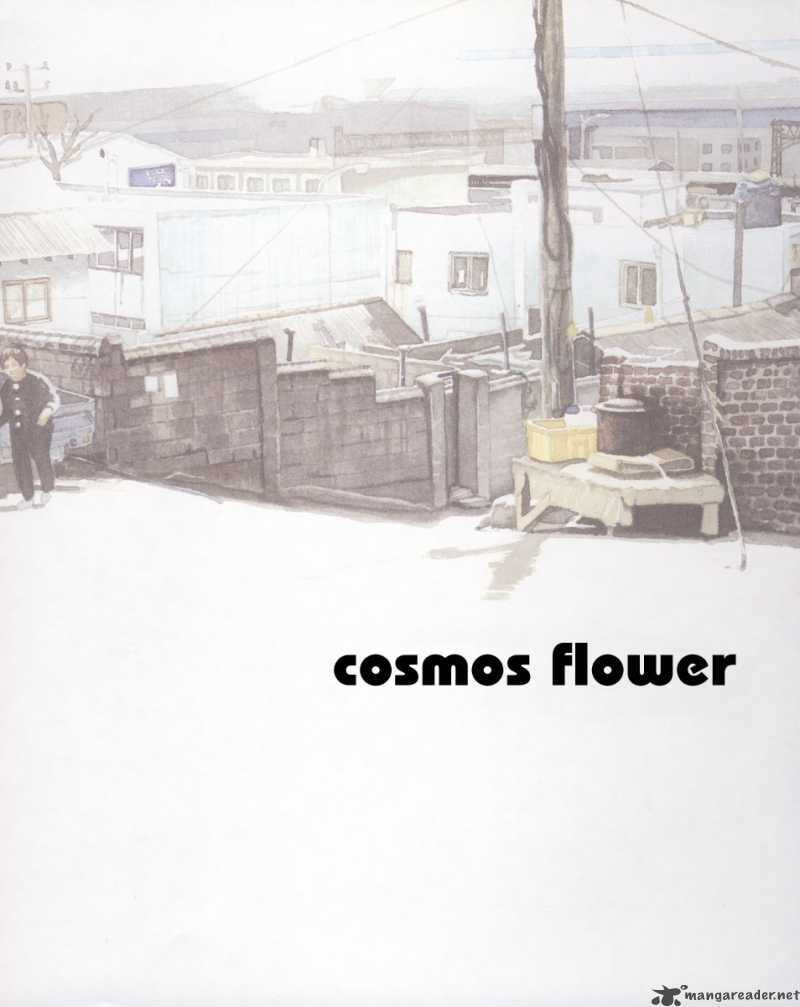 Read Cosmos Flower chapter 1 image 10 on Lezhin