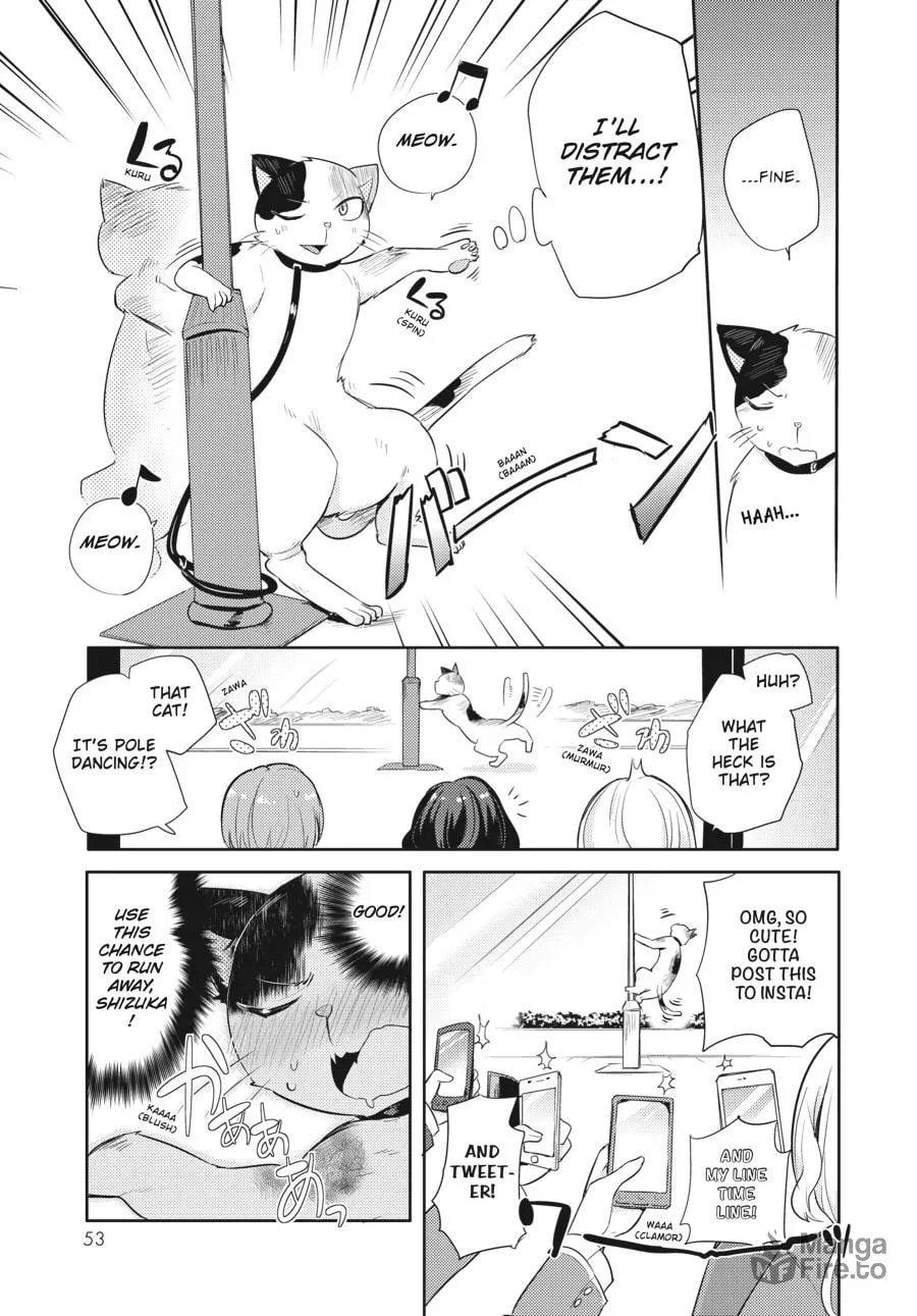 Read Count Fujiwara