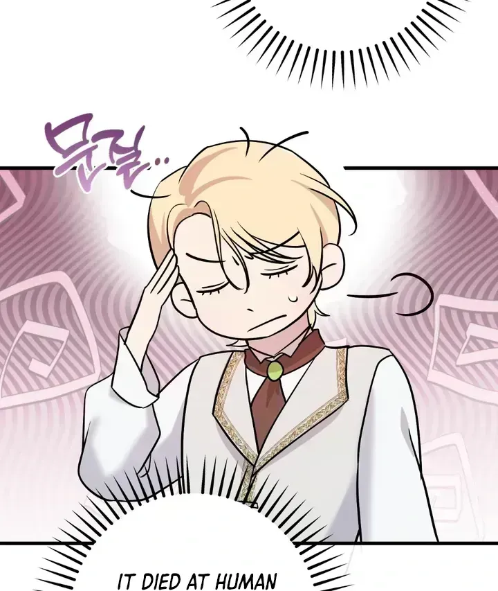 Read Count Owen