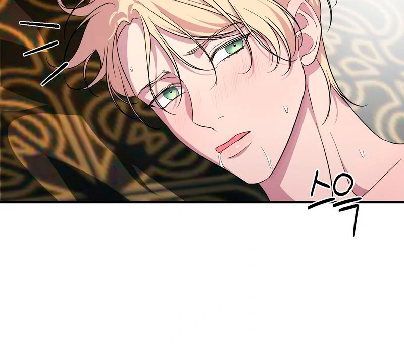 Read Count Owen