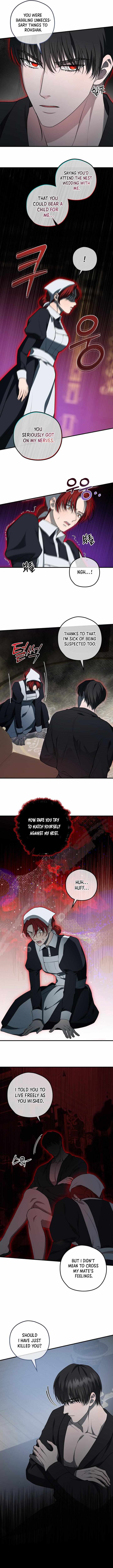 Read Count Owen