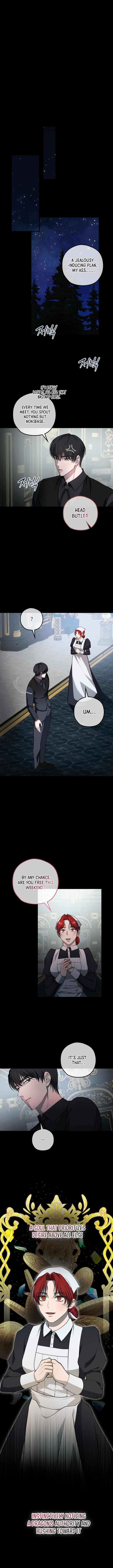 Read Count Owen