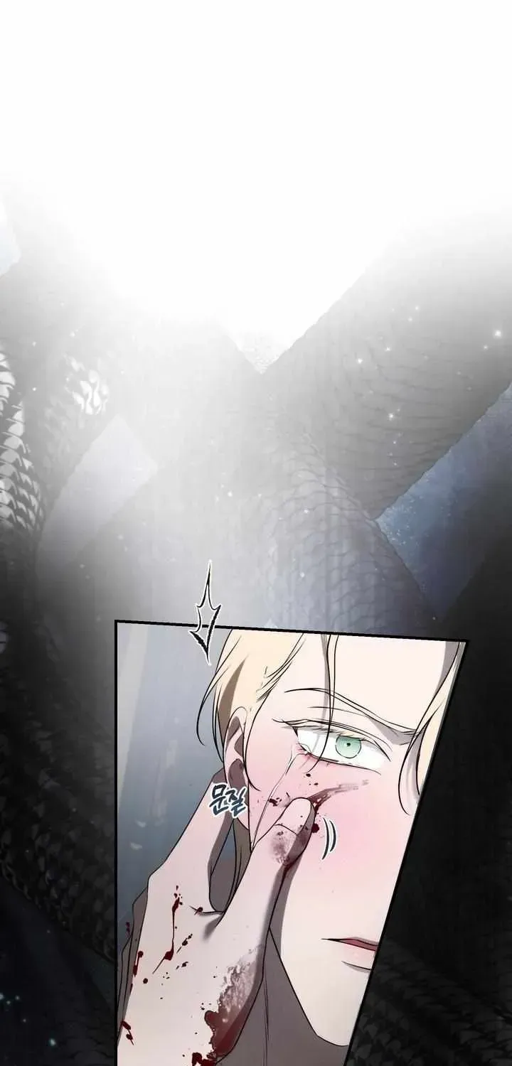 Read Count Owen