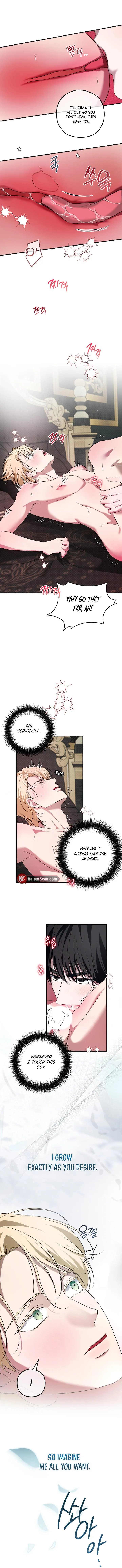Read Count Owen