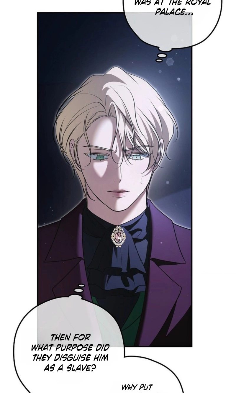 Read Count Owen