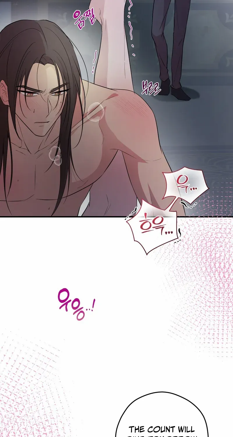 Read Count Owen