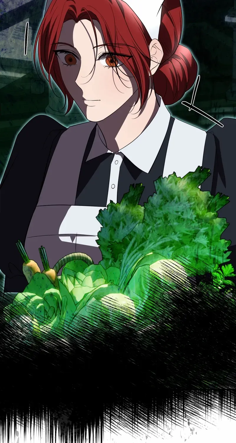 Read Count Owen