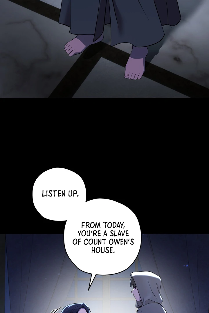 Read Count Owen