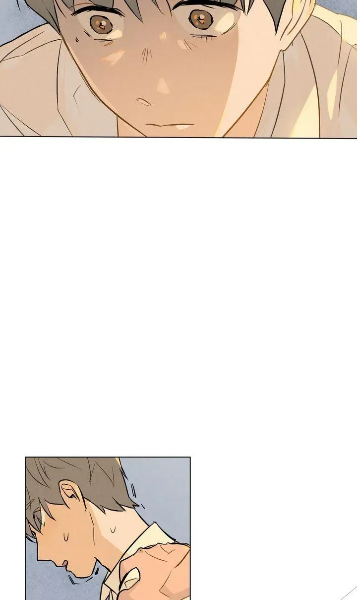 Read Countdown to Love chapter 1.2 image 53 on Lezhin