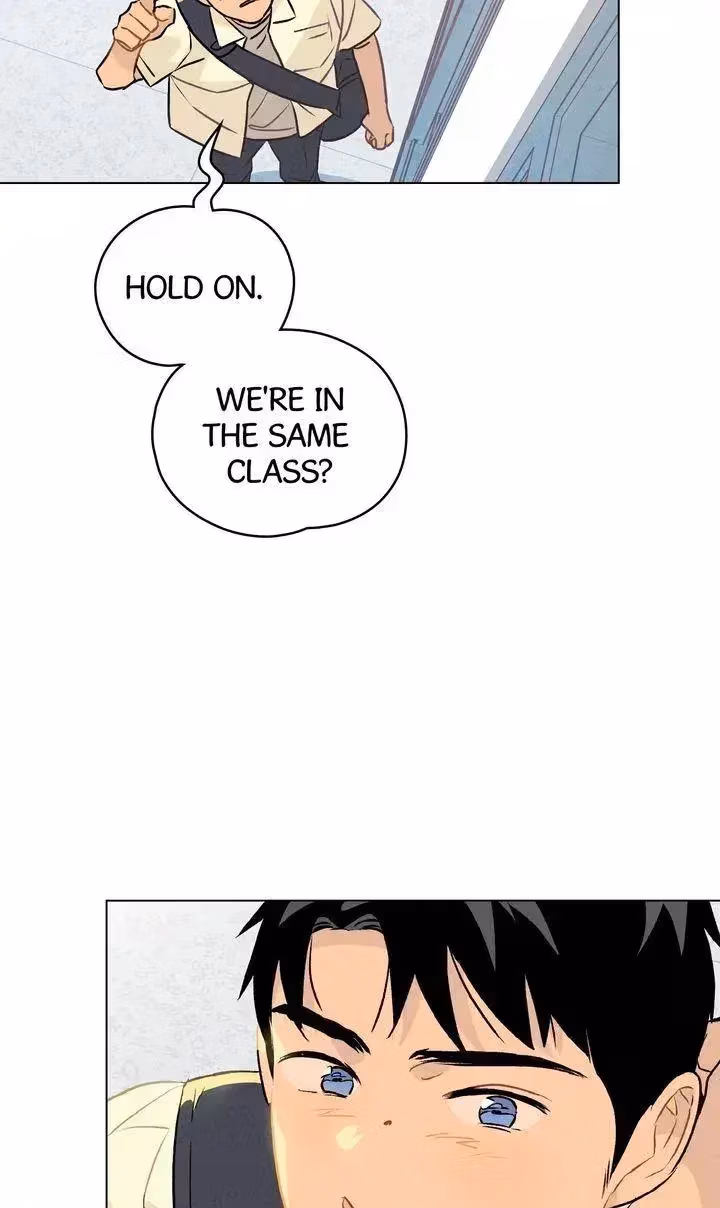 Read Countdown to Love chapter 1.8 image 31 on Lezhin